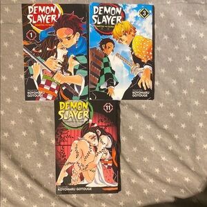 3 demon slayer books